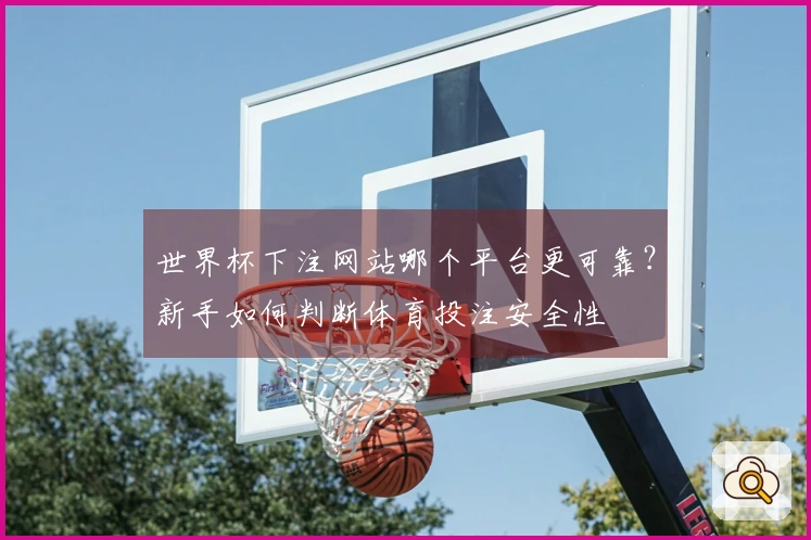 世界杯下注网站哪个平台更可靠？新手如何判断体育投注安全性
